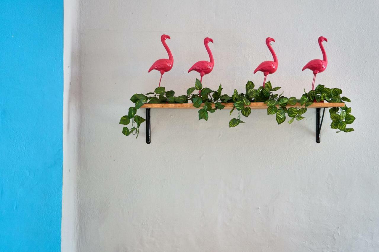Hostal Americana Guadalajara Exteriér fotografie